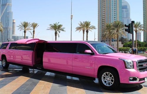 WhatsApp Image 2023-04-03 at 15.57.31